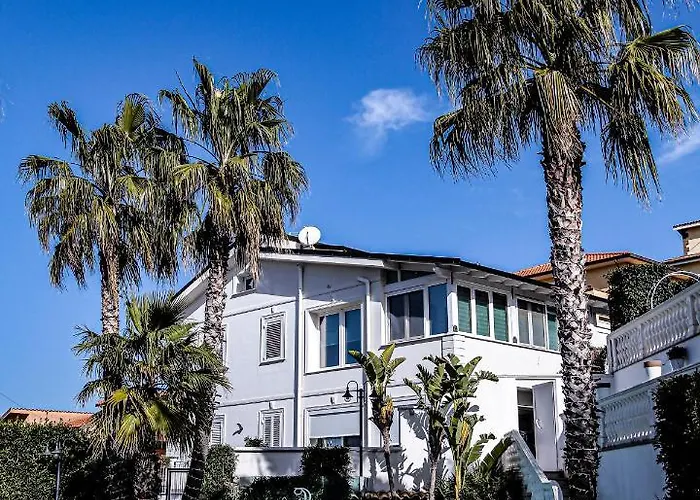 Leon D'oro 3* Corleone