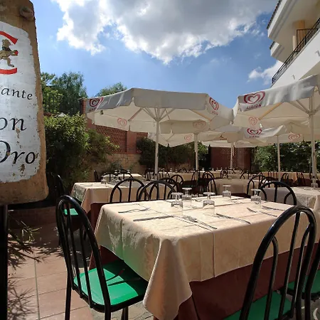 Leon D'oro Hotel 3*